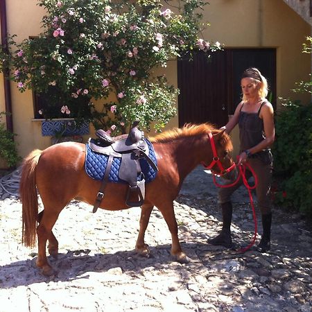 Agriturismo Ridocco Κορλεόνε Εξωτερικό φωτογραφία