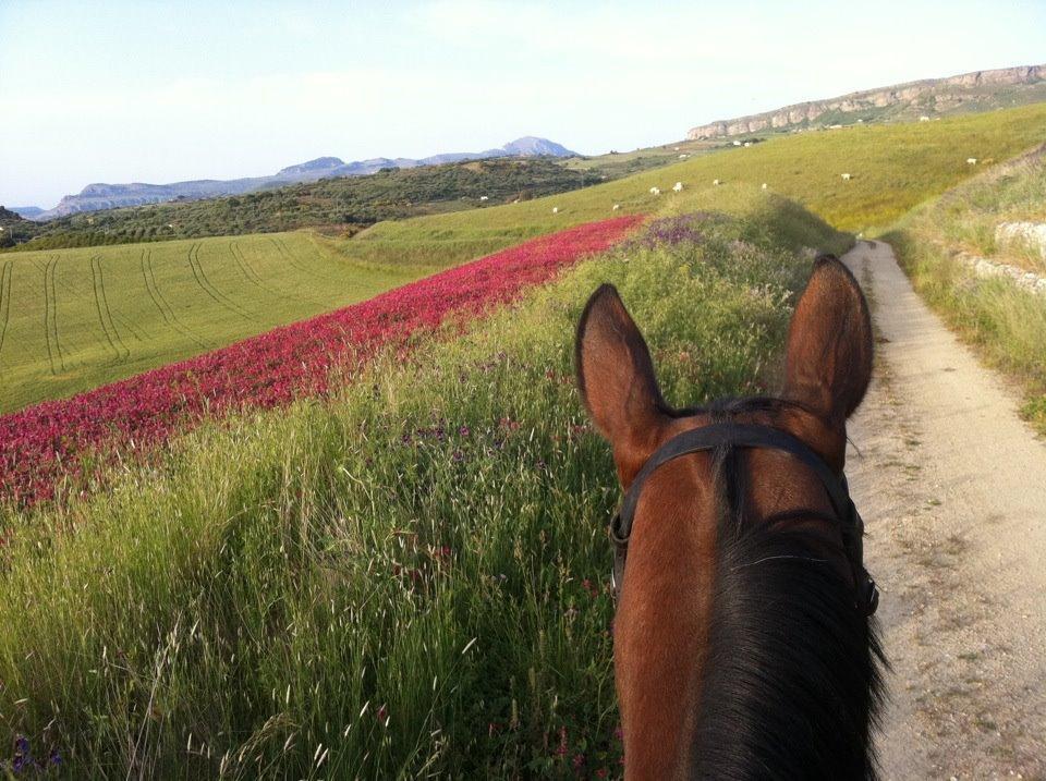 Agriturismo Ridocco Κορλεόνε Εξωτερικό φωτογραφία