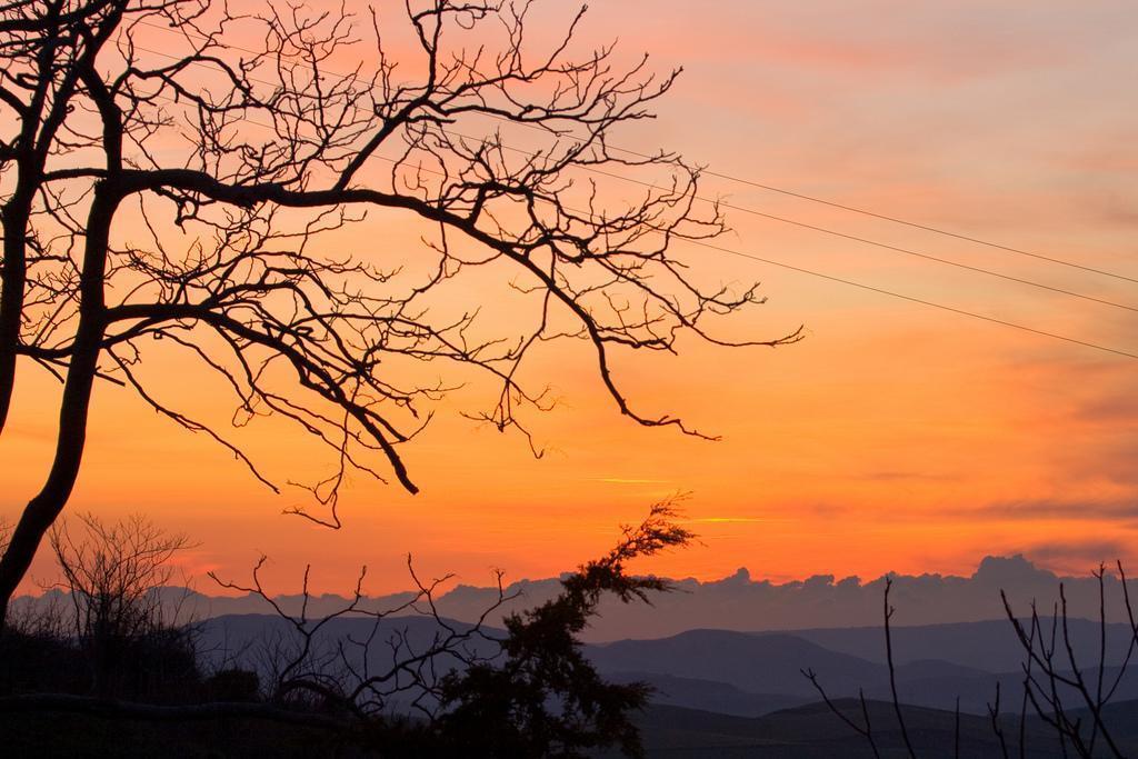 Agriturismo Ridocco Κορλεόνε Εξωτερικό φωτογραφία
