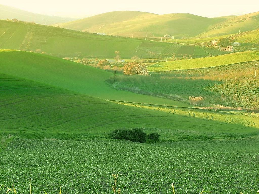 Agriturismo Ridocco Κορλεόνε Εξωτερικό φωτογραφία
