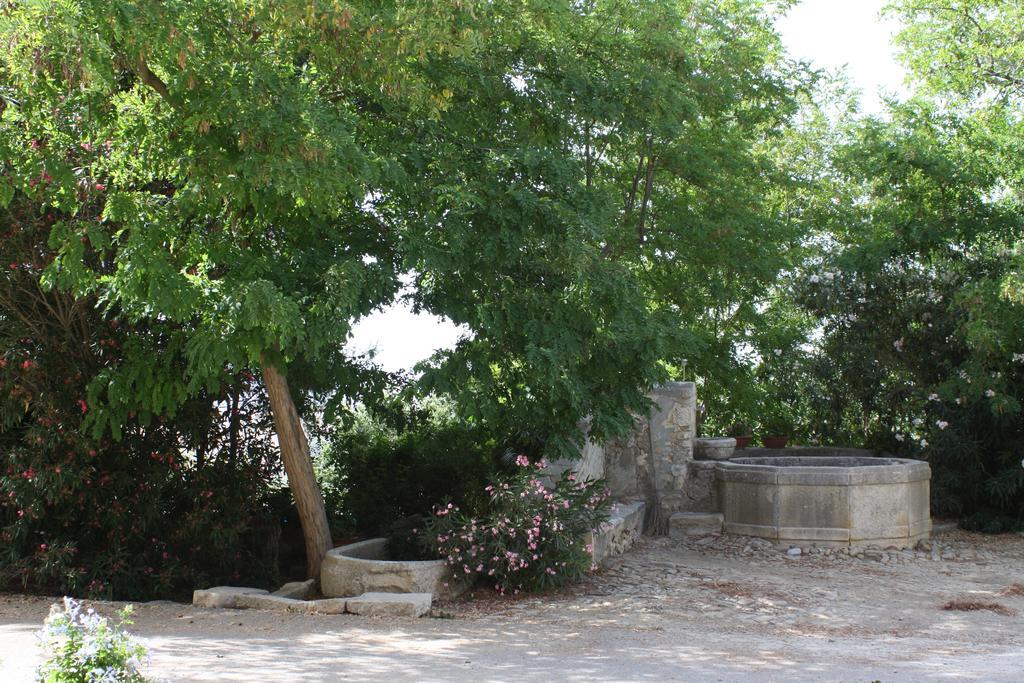 Agriturismo Ridocco Κορλεόνε Εξωτερικό φωτογραφία