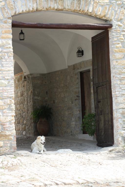 Agriturismo Ridocco Κορλεόνε Εξωτερικό φωτογραφία