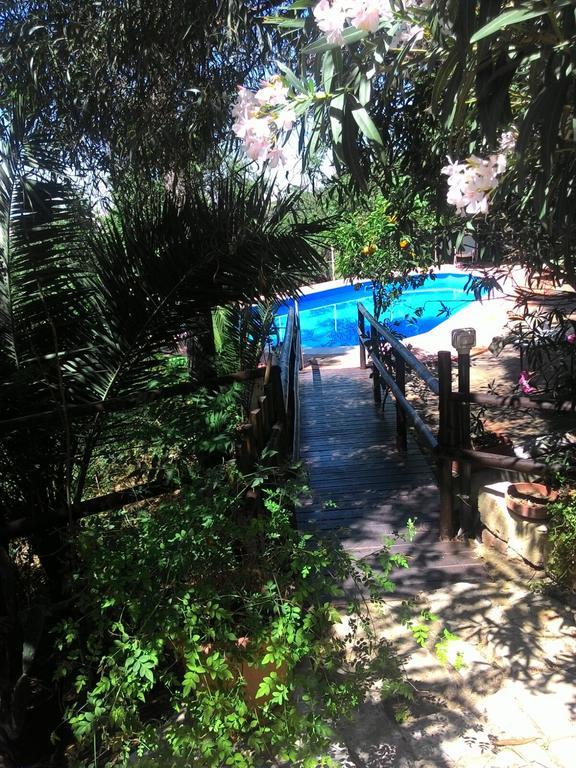 Agriturismo Ridocco Κορλεόνε Εξωτερικό φωτογραφία